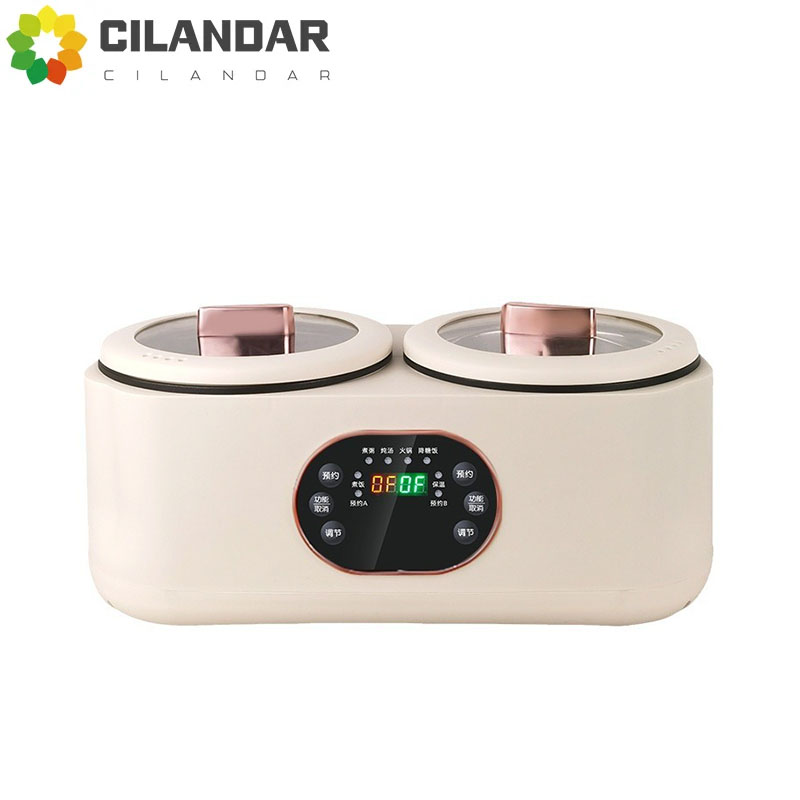 Double Gallbladder Electric Ri - Soup Kettle Warmer recensie en prijs
