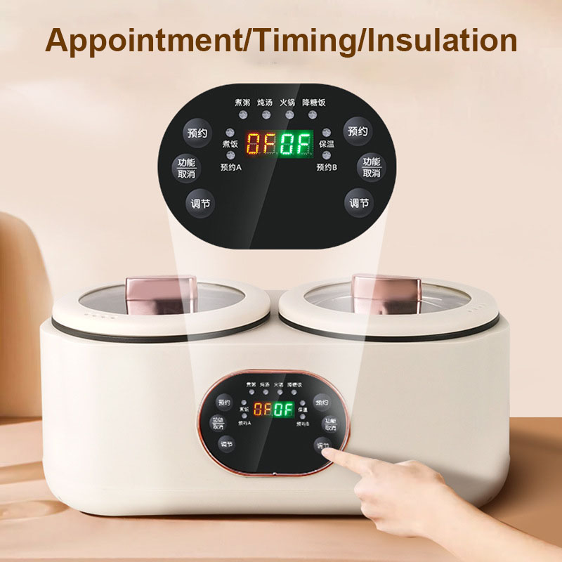 Double Gallbladder Electric Ri - Soup Kettle Warmer recensie en prijs